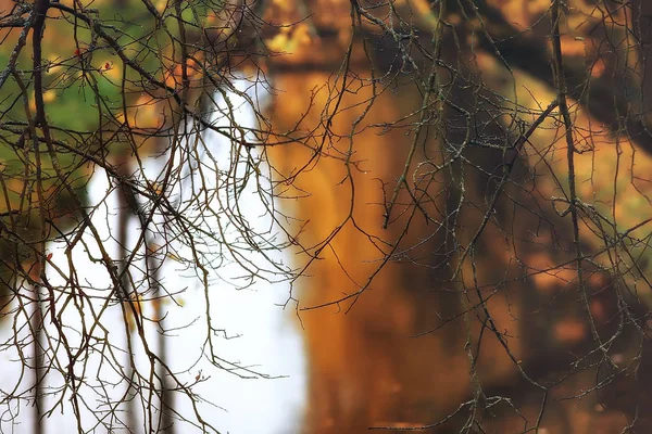 Outono Alemanha Parque Cidade Europa Alemanha Paisagem Outono — Fotografia de Stock