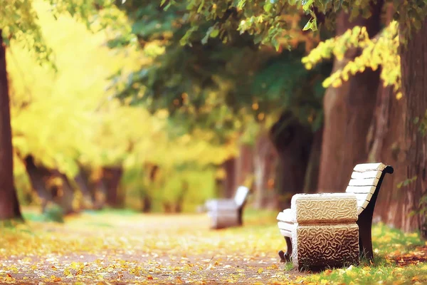 秋季公园景观长凳 10月风景黄色公园 秋季背景 — 图库照片