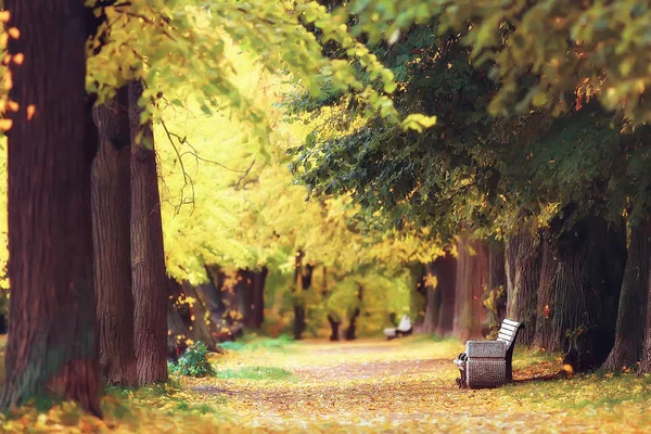 Paisaje Otoño Del Parque Peterhof Otoño Petersburg Temporada Otoño Parque — Foto de Stock