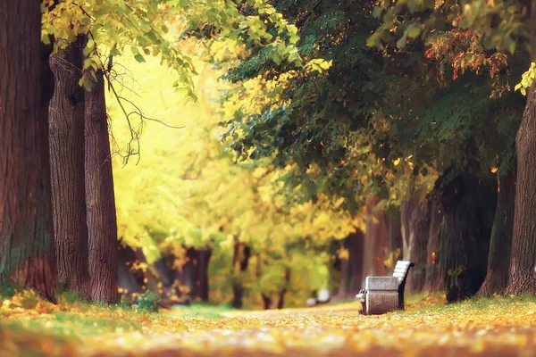 Oktoberlandschaft Herbst Park Gelbe Oktoberbäume Allee Der Herbstlandschaft — Stockfoto