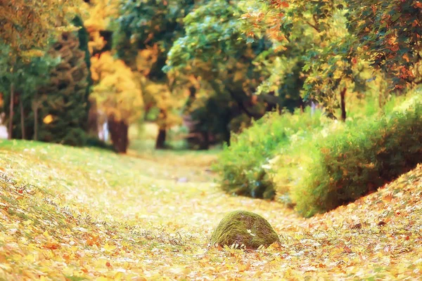 Herfst Landschap Gele Bomen Herfst Park Heldere Oranje Bos — Stockfoto