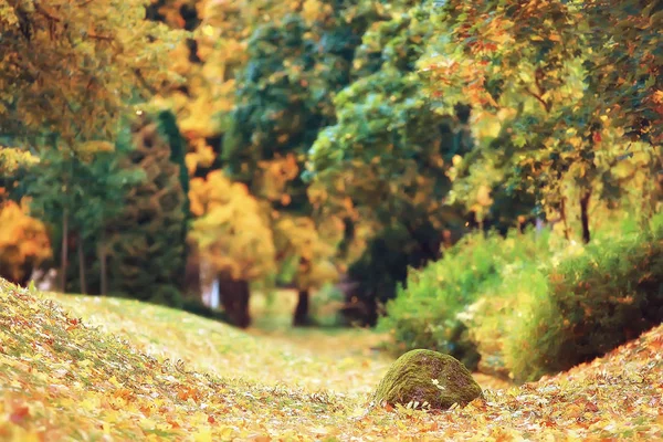 Malerische Herbstliche Waldlandschaft Sonniger Tag Indischer Sommer — Stockfoto
