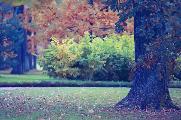 Autumn Germany City Park Europe Germany Autumn Landscape — Stock Photo, Image