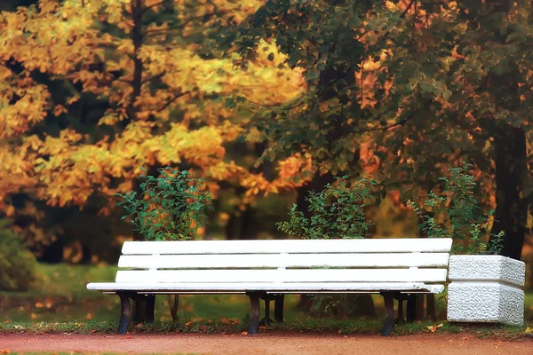 Bank Der Herbstlandschaft Stadtpark Mit Orangenbäumen Auf Den Ästen Eine — Stockfoto