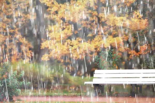 Automne Pluie Arrière Plan Banc Dans Parc Sous Pluie Automne — Photo