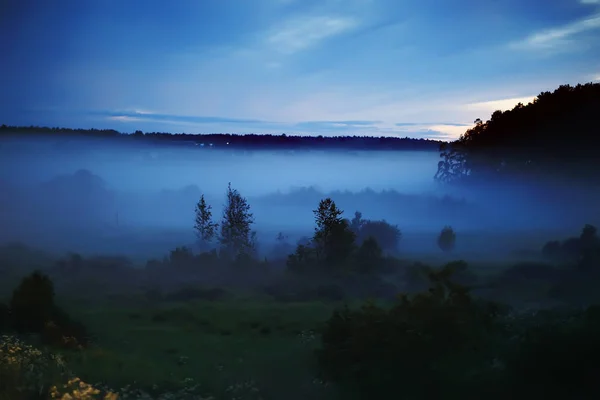 Noite Nebulosa Paisagem Outono Natureza — Fotografia de Stock