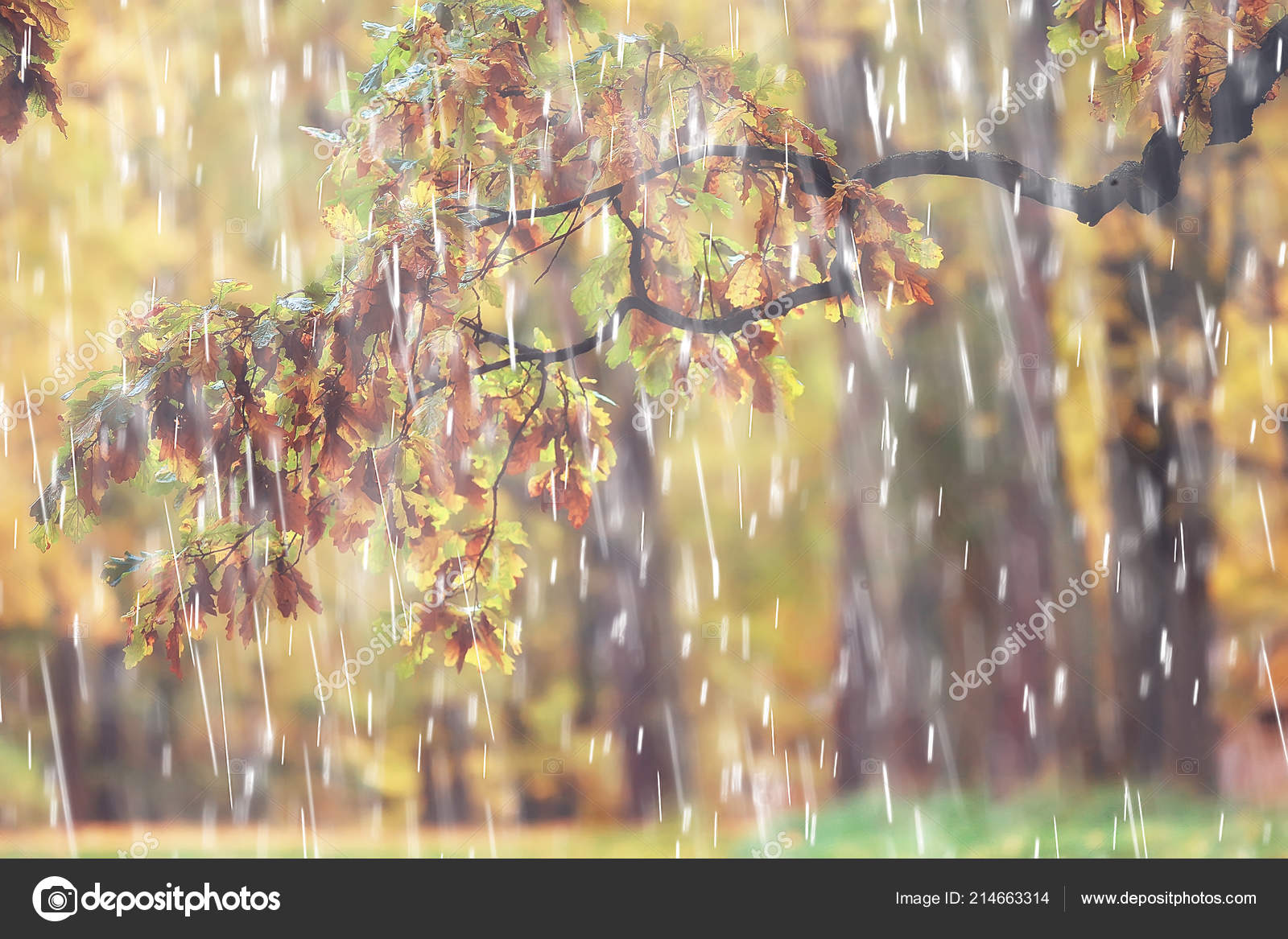 Featured image of post Chuva Paisagem Triste Veja mais ideias sobre paisagem triste florestas sombrias dark florest