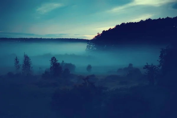 Gece Sisli Manzarası Sonbahar Doğa — Stok fotoğraf