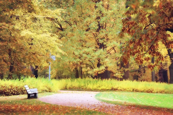 Banco Outono Paisagem Parque Cidade Com Laranjeiras Nos Ramos Banco — Fotografia de Stock