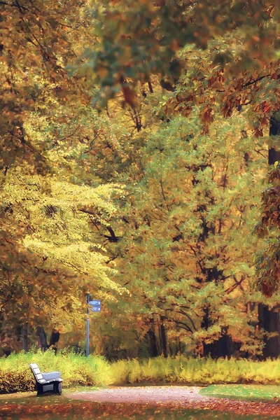 Октябрь Пейзаж Осень Парке Желтые Октябрьские Деревья Аллея Осеннего Пейзажа — стоковое фото