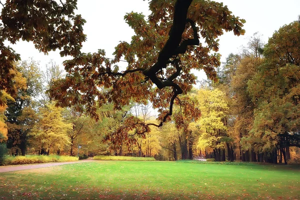 Осінній Пейзаж Жовті Дерева Осінньому Парку Яскраво Помаранчевий Ліс — стокове фото