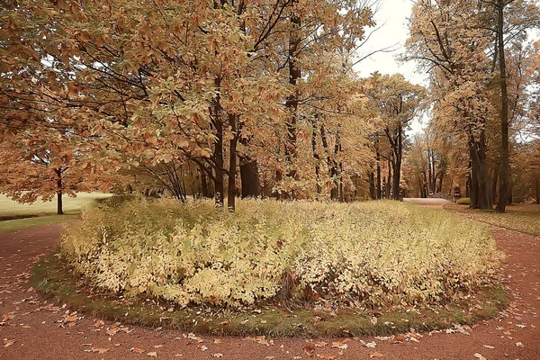 Autumn Germany City Park Europe Germany Autumn Landscape — Stock Photo, Image