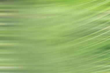 bahar açık yeşil arka plan, parlayan bulanık tasarım, tasarım duvar kağıdı için yaz arka plan bulanıklık