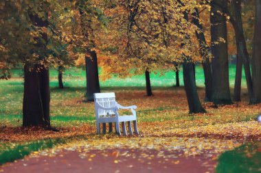 manzara tezgah sonbahar Park'ta / Ekim peyzaj sarı park, sonbahar arka plan