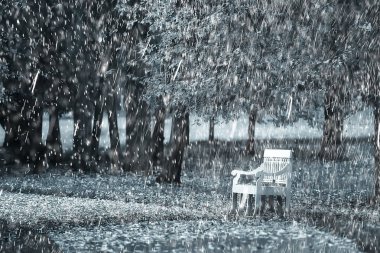 Sonbahar yağmur arka plan / tezgah Sonbahar yağmur altında parkta, soğuk hava, sarı Ekim parkta kötü hava, sonbahar manzara insanlar olmadan yürümek