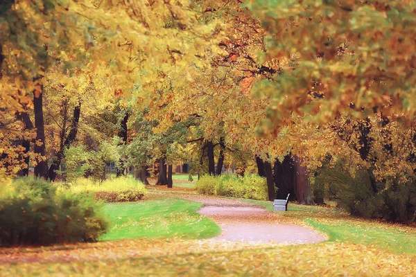 Осень Германии Городской Парк Европе Осенний Пейзаж Германии — стоковое фото