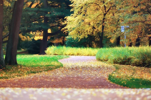 Oktober Landschap Herfst Het Park Gele Oktober Bomen Alley Herfst — Stockfoto