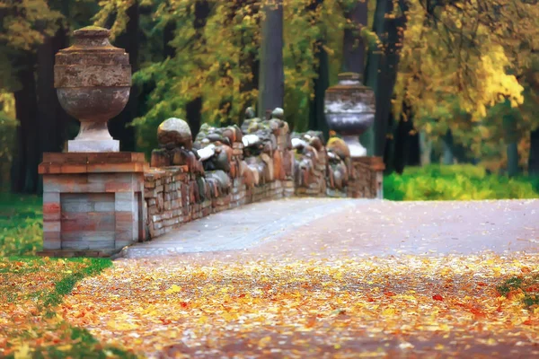 Amarillo Otoño Bosque Paisaje Hermosos Árboles Con Hojas Amarillas Bosque —  Fotos de Stock