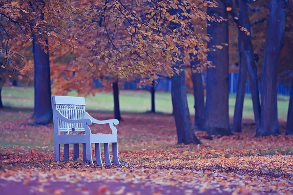 长椅上的秋天风景 城市公园里有橘树的树枝 一条街道长椅上的秋天森林景观 周末的概念在城市公园 — 图库照片