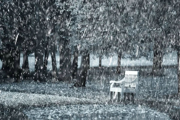 Autumn Rain Background Bench Park Autumn Rain Walk Cold Weather — Stock Photo, Image