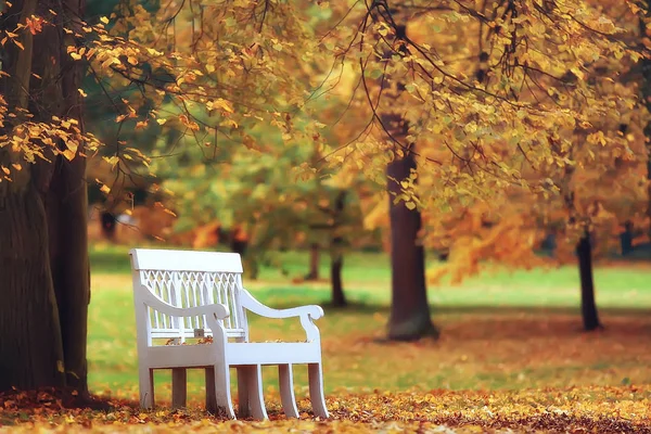 Liggande Bänk Höst Park Oktober Landskap Gula Park Höstens Bakgrund — Stockfoto