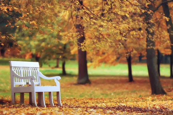 Banco Paisaje Otoño Parque Ciudad Con Naranjos Las Ramas Banco — Foto de Stock