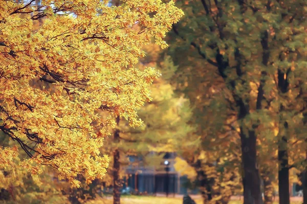 Autumn Landscape Peterhof Autumn Park Petersburg Autumn Season Yellow Park — Stock Photo, Image