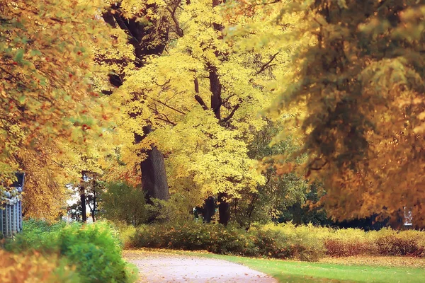 Octubre Paisaje Otoño Parque Árboles Amarillos Octubre Callejón Paisaje Otoño —  Fotos de Stock