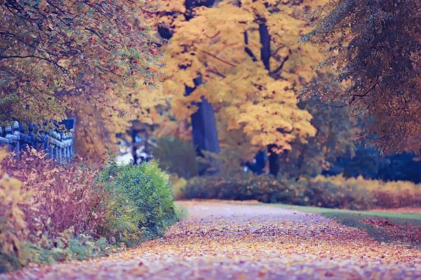 Φθινόπωρο Σοκάκι Στο Πάρκο Φθινοπώρου Πόδια Στο Πάρκο Της Πόλης — Φωτογραφία Αρχείου