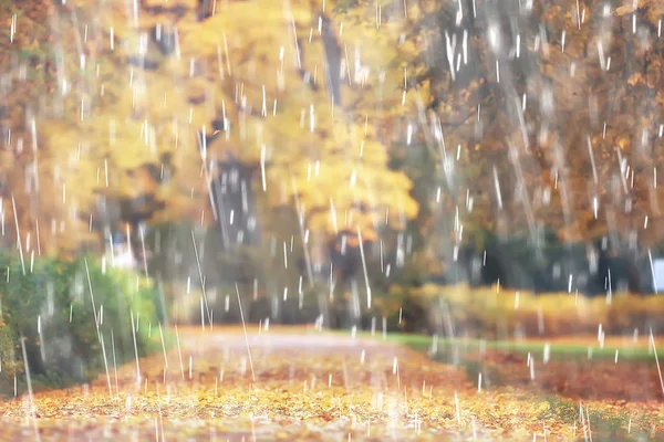 秋の公園 雨背景秋の風景背景雨 月公園 悪天候の中を歩く 風の天気予報 天気が悪い 悲しい気分でテクスチャ — ストック写真