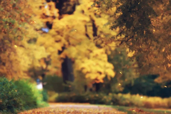 Autumn Landscape Yellow Trees Autumn Park Bright Orange Forest — Stock Photo, Image