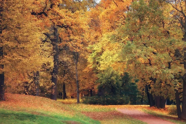 Φθινοπωρινό Τοπίο Κίτρινα Δέντρα Στο Πάρκο Φθινόπωρο Φωτεινό Πορτοκαλί Δάσος — Φωτογραφία Αρχείου