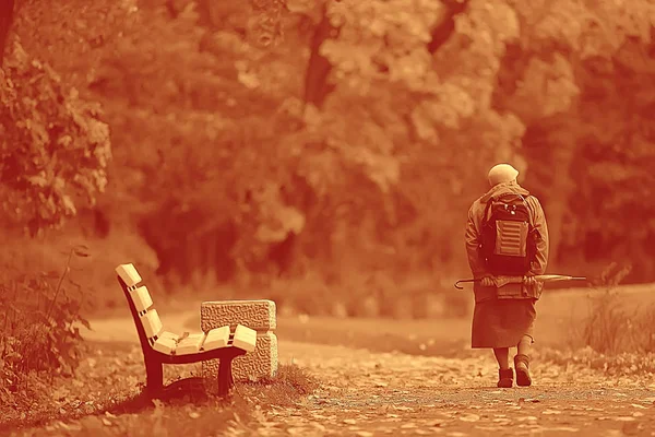 Sepia Landscape Autumn Park Monochrome Image Trees Alley City Park — Stock Photo, Image