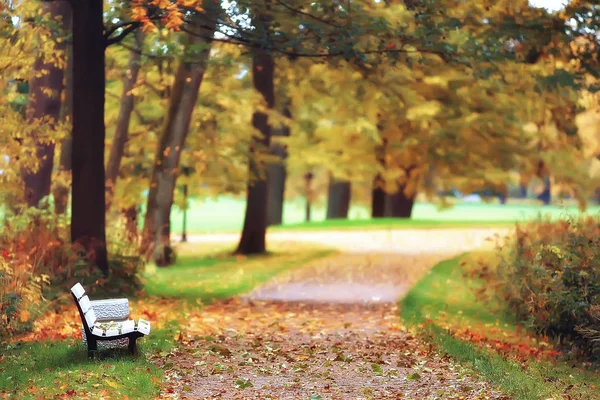 Herbstallee Park Herbstspaziergang Stadtpark Nur Wochenende Das Konzept Der Ruhe — Stockfoto