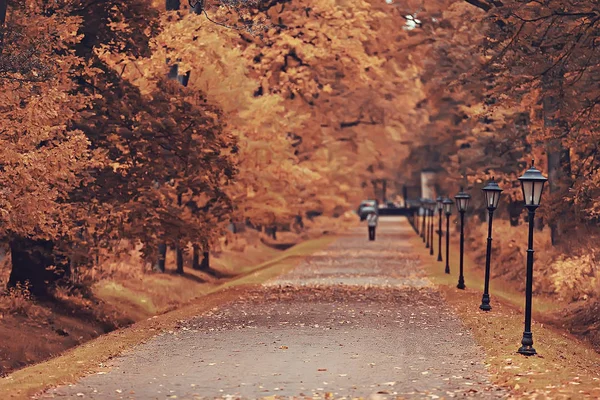 Hösten Gränd Parken Höst Promenad City Park Helger Ensam Begreppet — Stockfoto