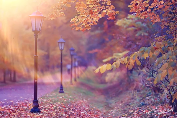 Automne Ensoleillé Matin Paysage Rayons Soleil Dans Les Arbres Automne — Photo