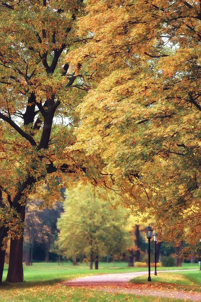 Outono Paisagem Árvores Amarelas Parque Outono Floresta Laranja Brilhante — Fotografia de Stock