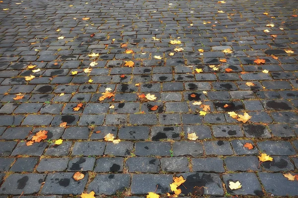 落ち葉の背景 黄色とオレンジは都市公園の地面に紅葉を落ちた 秋の葉の質感 秋絵の概念 — ストック写真
