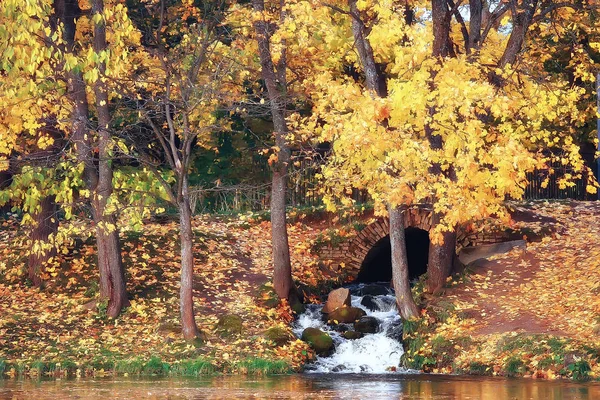 Paisaje Otoño Árboles Amarillos Parque Otoño Bosque Naranja Brillante — Foto de Stock