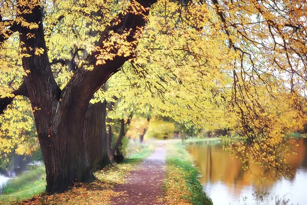 Paisagem Incrível Outono Com Árvores Amarelas Lago Parque — Fotografia de Stock