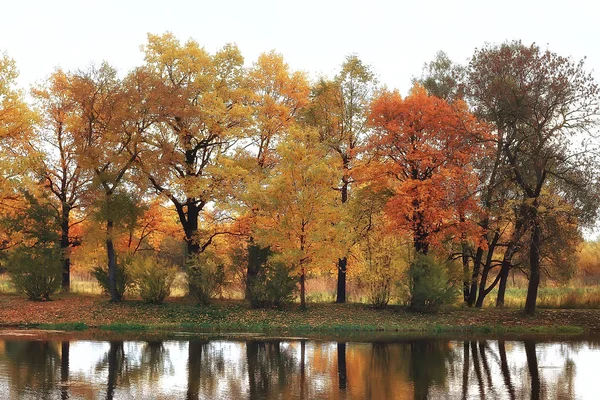 Καταπληκτικό Φθινοπωρινό Τοπίο Κίτρινα Δέντρα Και Λίμνη Στο Πάρκο — Φωτογραφία Αρχείου