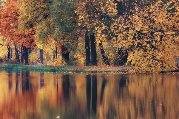 Paisagem Incrível Outono Com Árvores Amarelas Lago Parque — Fotografia de Stock