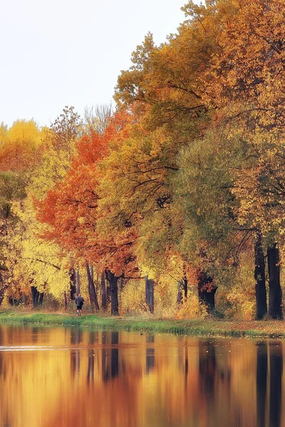 Picturesque Autumn Forest Landscape Sunny Day Indian Summer — Stock Photo, Image