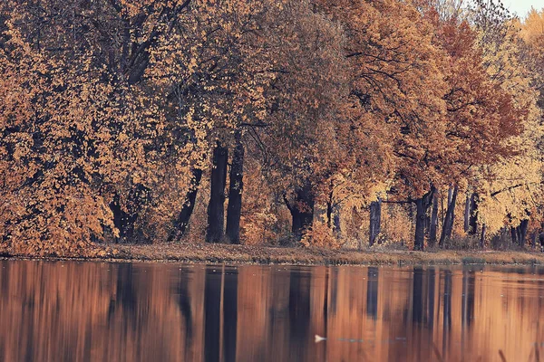 Lagoa Parque Outono Paisagem Pela Água Floresta Outono Reflexões Árvores — Fotografia de Stock