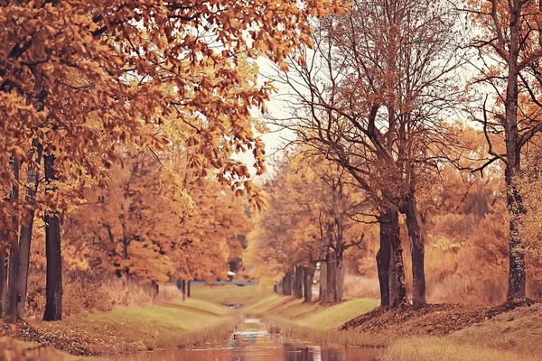 Höstlandskap Gult Träd Höst Park Ljusa Orange Skog — Stockfoto