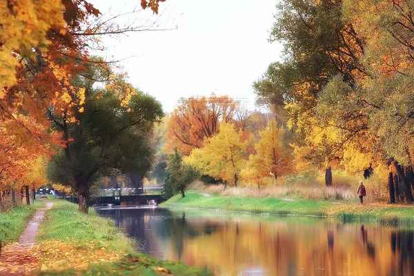 Herfst Landschap Gele Bomen Herfst Park Heldere Oranje Bos — Stockfoto