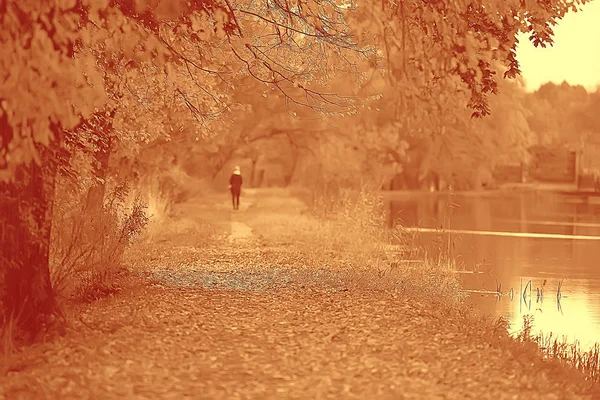 Herbstlandschaft Gelbe Bäume Herbstpark Leuchtend Orangefarbener Wald — Stockfoto