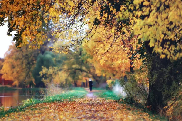 Ottobre Paesaggio Autunno Nel Parco Alberi Gialli Ottobre Vicolo Nel — Foto Stock