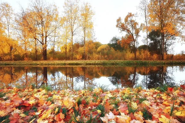 Picturesque Autumn Forest Landscape Sunny Day Indian Summer — Stock Photo, Image