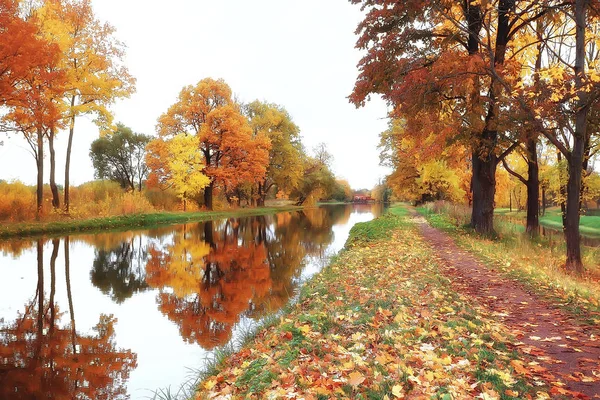 Paisagem Incrível Outono Com Árvores Amarelas Lago Parque — Fotografia de Stock